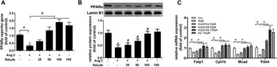 Salidroside Ameliorates Cardiomyocyte Hypertrophy by Upregulating Peroxisome Proliferator-Activated Receptor-α